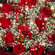 Baihuaguan Flowers Red Roses Gypsophila Real Bouquet Birthday Gift for Girlfriend Confession to Wife City Delivery Within Hours I Love You Like One 11 Red Roses + Gypsophila + Red Beans | T75