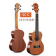 UKU MEOW C Ukulele Beginner Guitar Small Girly Style Ukli Li Meow Meow Meow Small GuAi Meow Small Wrinkle Single 26 pulgadas UK200T Combinación de Core de Peach Blossom Full Peach
