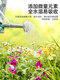 Lingwo Potassium Dihydrogen Phosphate Fertilizer Flower Special Bougainvillea Phosphate Fertilizer Household Potassium Fertilizer Flower Fertilizer Potted Plant Authentic Agricultural Explosive Potassium Dihydrogen Phosphate 500g*2 Cans + Candy Watering Can