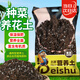 Beishu nutritious soil vegetable cultivation, flower cultivation, succulent flower special soil, peat potted planting, organic matrix soil 10L