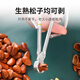 Fat Donglai's same style Fat Donglai's same style pine nut opener clip Shenyeye special open shell stainless steel purchasing agent pine nut clip 2 pieces