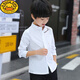 G.duck3-16 years old children's white shirt male spring and autumn middle and older children cotton school uniform primary school student white shirt thin boy long sleeve white kitten style 170 cm