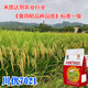 Long-grain fragrant rice Chuanyou 7021 rice seed national standard first-grade fragrant rice has a soft taste but not glutinous and chewy Chuanyou 7021 500g/bag 2 bags