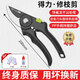 Deli special scissors for cutting branches, fruit tree gardening pruning scissors, flower pruning scissors, floral branch pruning, garden thick branch scissors, 8-inch anti-pinch, labor-saving pruning shears