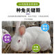 OIMG rabbit premix meat rabbit pup baby rabbit rabbit premix fattening rabbit feed female rabbit premix major manufacturer Sino-US Puco 4% rabbit premix 4 Jin Jin equals 0.5 kg, buy 4 get 1 free, get 5 bags, mixable material 500 Jin Jin equal to 0.5 kg
