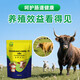 Live bacterial peptides for cattle and sheep to enlarge the skeleton and promote growth. Veterinary calves and lambs are enlarged and fattened. Feed additives 2 bags to supplement nutrition.