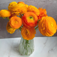 Peony Flowers Base Wholesale High-grade Peonies Fresh Cut Flowers Yunnan Fresh Flowers Bouquet Peonies Orange 10 Branches + Imported Preservative