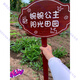 Customized wooden brand park vegetable garden vegetable field wooden grass planting area sign vertical ground sign to care for flowers and plants 1 model 30*20CM