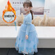 Spring and Autumn New Elsa Princess Dress Girls Dress Bow Printed Gauze Skirt Children's Puff Skirt Winter Plush Velvet Princess Skirt Single Skirt 120 cm