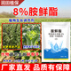 Runtian Baihu Official Genuine 8% Acetate Genuine Plant Growth Regulator Promotes Growth National Standard Wholesale 8% Acetate 12g*50 Bags