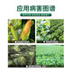 Guoguang Youlehong 8% ethylamine, cabbage and corn to promote the development of roots and seedlings, plant growth regulator 200ml