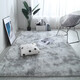 Fantasy thickened carpet, bedroom bedside blanket, living room coffee table blanket, room full cushion, plush sofa balcony non-slip floor mat, coffee color, newly upgraded thickened version, 100x160 cm, soft and delicate fluff, soft to the feet.