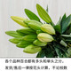 Perfume lily, flowers for Buddha, Yunnan straight-haired fresh-cut flowers, water-raised flower arrangement, white, yellow and pink, Chinese Valentine's Day gift, random perfume lily mixed color, 6 flowers, high-quality lily