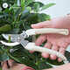 Cow Centenary Gardening Scissors Pruning Scissors Gardening Tools Floral Fruit Tree Pruning Scissors Pruning Branches Gardening Pruning Scissors Beige