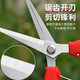 Fruit picking scissors, fruit thinning scissors, grape flower thinning scissors, flower pruning scissors, citrus pepper picking twig scissors, fruit picking scissors, short curved blade scissors