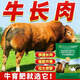 Rumen Veterinary Beef and Sheep Jianwei Powder to promote growth, fattening, weight gain, anti-diarrhea, veterinary genuine feed additives 5 bags, fattening and crazy growth