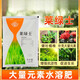 Guoguang Lailux large-element water-soluble fertilizer for flowers, fruits and vegetables, foliar fertilizer, nitrogen fertilizer and potassium fertilizer, balanced type (20-20-20) 200g/bag