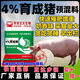 4 piglet premix, fat pig premix, small, medium and large pig feed premix, pig premix 4 replacement sows