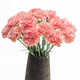 Carnation flowers Yunnan base straight hair Goddess Day gift bouquet multi-color flowering period long Chinese Valentine's Day gift 3 pink carnations 10 branches