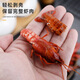 Chengyang Stainless Steel New Home Kitchen Spicy Crayfish Peeling and Shelling Artifact for Shrimp Peeling and Meat Removal Tool Crayfish Clips