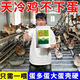 Special eggs for chickens to lay eggs, Duoduo Bao, eggs for chickens, ducks and geese to increase production, feed for chickens to eat if they don’t lay eggs, what to do, five bags