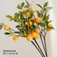 Fruit Apple Artificial Flower Living Room Decoration Fruit Branches Green Plants Gardening Vase Flower Arrangement Decoration and 4 Yellow Apricots 5 Branches