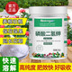 Qideng potassium dihydrogen phosphate fertilizer household agricultural indoor and outdoor green plants flower potted leaves spray fertilizer general flower fertilizer potassium dihydrogen phosphate 350gx1 can to promote flowering and increase production