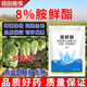Runtian Baihu Official Genuine 8% Acetate Genuine Plant Growth Regulator Promotes Growth National Standard Wholesale 8% Acetate 12g*50 Bags