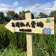 Outdoor anti-corrosion wood billboard sign, ground-inserted vertical guide sign, solid wood scenic spot sign, garden flower sign, 40*10 cm, 2 signs, 1 meter extra pole