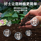 Nutrient soil for growing vegetables, organic orchids, succulents, potted plants, coconut brick soil, universal type, organic nutrient soil 5 Jin Jin is equal to 0.5 kg, specially formulated by horticulturists