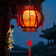 Xu Shansi New Year's hexagonal palace lantern balcony red lantern chandelier Chinese style antique building door hanging decoration wooden door lantern PVC round lantern 10 inches 10 styles one pair