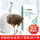 Sino-US Puke 2% ostrich special premix 5% small ostrich feed growth and brooding period, fattening and laying period compound feed 2% breeding period premix (40Jin Jin is equal to 0.5kg)