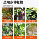 Xiao Hengyi Hongfu Diammonium Phosphate Phosphate Fertilizer Agricultural Vegetable Flower Fruit Tree Potted Compound Fertilizer Field General Small Bag Fertilizer Hongfu Diammonium Phosphate 1Jin Jin is equal to 0.5 kg