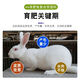 OIMG rabbit premix meat rabbit pup baby rabbit rabbit premix fattening rabbit feed female rabbit premix major manufacturer Sino-US Puco 4% rabbit premix 4 Jin Jin equals 0.5 kg, buy 4 get 1 free, get 5 bags, mixable material 500 Jin Jin equal to 0.5 kg