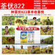 Wangyuan Xingquanyou 822 высокоурожайный и стабильный гибридный рис, устойчивый к полеганию, высокой температуре, твердый и устойчивый к удобрениям, высококачественный суперрис оптом Quanyou 822 5Jin Jin, равный 0,5 кг + средство для замачивания семян + мешок для замачивания семян