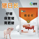 OIMG Pig Day Long Feed Additive for Piglets Growth Promoting Concentrated Premix Weight Gaining Fattening Agent Appetizer 25 Bags 20 Get 5 Free Single Bag Only 23 Yuan