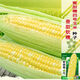 甜糯红玉米种子白彩黄甜粘苞米种南北方大田早熟玉米种子 蜜甜糯1号原装500克