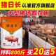 OIMG Pig Day Long Feed Additive for Piglets Growth Promoting Concentrated Premix Weight Gaining Fattening Agent Appetizer 25 Bags 20 Get 5 Free Single Bag Only 23 Yuan