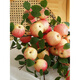 Fruit Apple Artificial Flower Living Room Decoration Fruit Branches Green Plants Gardening Vase Flower Arrangement Decoration and 4 Yellow Apricots 5 Branches