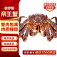 Jingcai Tianyuan Fresh Quick Frozen King Crab 4.5-4.9 Jin Jin is equal to 0.5 kg Russian Big Crab Fresh Seafood Dinner and Gift Delivery Directly from the Source