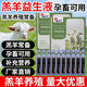 Nanhua Qianmu Lamb Probiotic Liquid Genuine lamb protection solution Newborn lambs and calves with poor spirits do not eat milk feed additives Lamb Probiotic Liquid 5ml/box*20 bottles/box