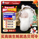 Bassling Fresh Rushan Ecological Oysters 2XL Net weight 4Jin Jin is equal to 0.5kg 13-17 fresh fresh products sent directly from the source for New Year gifts