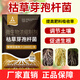 Aowei Aofeng Bacillus subtilis genuine microbial agent regulates loose soil and promotes rooting for agricultural use high content 500g*20 bags
