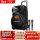 SANSUI square dance audio outdoor karaoke heavy bass Bluetooth audio KTV portable karaoke all-in-one machine high-power amplifier dual microphone mobile stage trolley speaker A15-66 15-inch heavy bass 28 hours + dual microphones