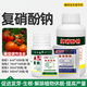 Aidoshou 1.8% sodium nitrophenolate for coloring flowers and fruits, promoting root growth, preserving flowers and fruits, plant antidote to pesticide damage, growth regulator 50ml