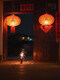 Xushansi New Year's blessing lanterns, red lanterns, housewarming gates, wedding flocking ornaments, a pair of balcony yard outdoor decorations, a pair of 60 gold Caifu (gold beads and tassels)