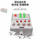 Explosion-proof socket inspection box power distribution power lighting control distribution control cabinet power supply instrument PLC frequency conversion customization main switch + six circuits (with pin)