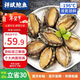 Xiangbin fresh frozen large abalone, net weight 400g (10 pieces) bagged, hot pot, barbecue, braised, soup, seafood, New Year's gift