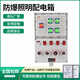 Explosion-proof socket inspection box power distribution power lighting control distribution control cabinet power supply instrument PLC frequency conversion customization main switch + six circuits (with pin)
