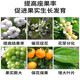 Yue Lian Man Huaguo 3% gibberellic acid gibberellin 920 fruit tree germination and seedling increase yield preservation flower and fruit plant growth regulator 1000ml
